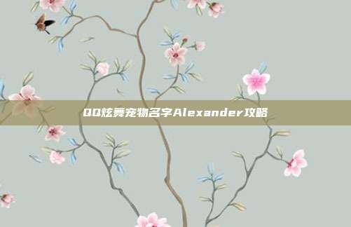 QQ炫舞宠物名字Alexander攻略
