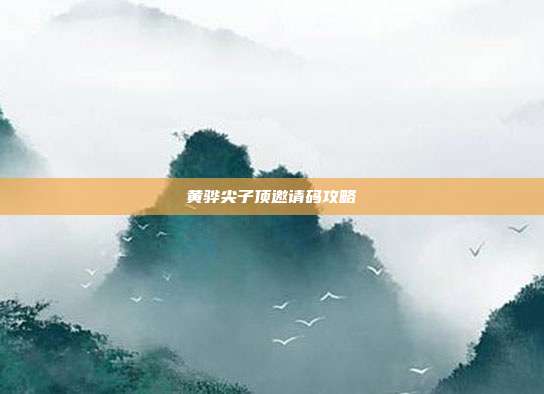 黄骅尖子顶邀请码攻略
