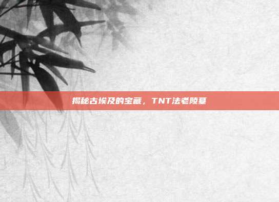 揭秘古埃及的宝藏,TNT法老陵墓