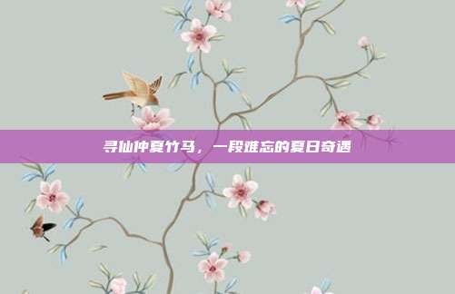 寻仙仲夏竹马，一段难忘的夏日奇遇