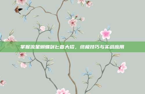 掌握流星蝴蝶剑匕首大招,终极技巧与实战应用