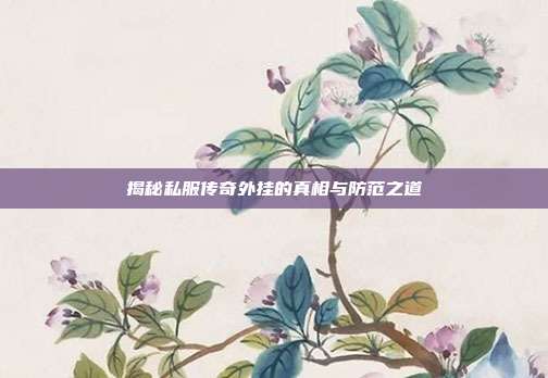 揭秘私服传奇外挂的真相与防范之道