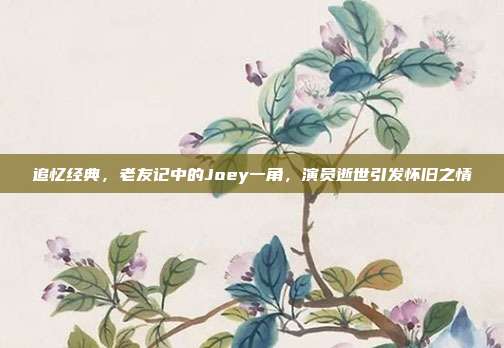 追忆经典,老友记中的Joey一角,演员逝世引发怀旧之情