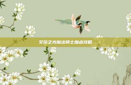 艾尔之光魔法骑士加点攻略