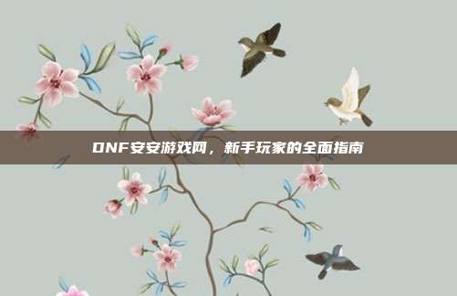 DNF安安游戏网,新手玩家的全面指南