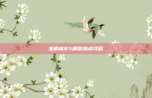 女机械85刷图加点攻略
