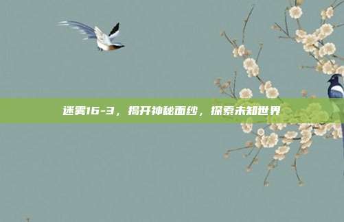 迷雾16-3，揭开神秘面纱，探索未知世界
