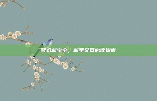 梦幻新宝宝，新手父母必读指南