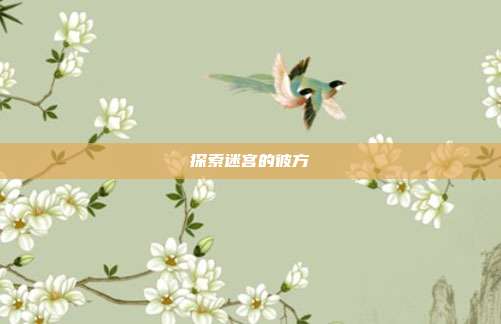 探索迷宫的彼方