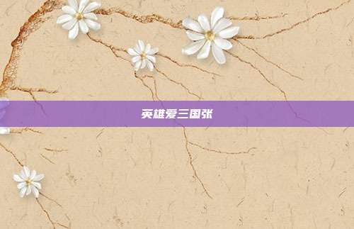 英雄爱三国张郃