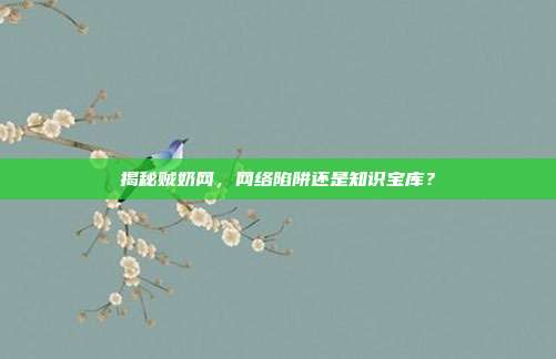 揭秘贼奶网,网络陷阱还是知识宝库?