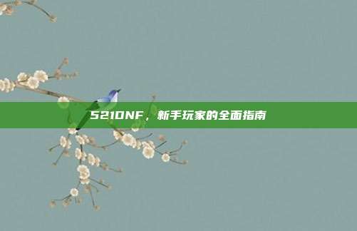 521DNF，新手玩家的全面指南