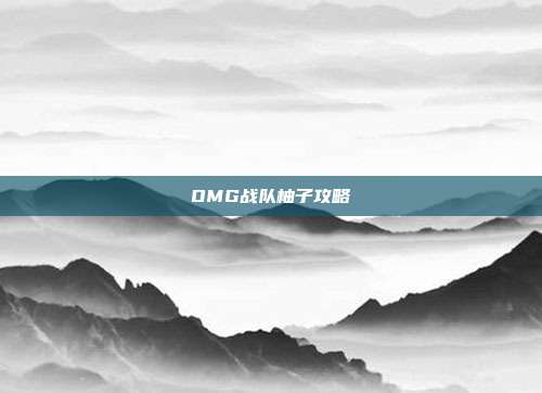 OMG战队柚子攻略