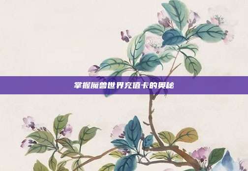 掌握魔兽世界充值卡的奥秘