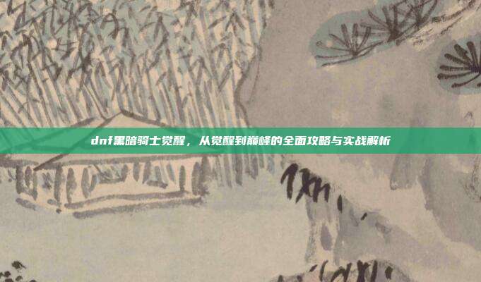 dnf黑暗骑士觉醒,从觉醒到巅峰的全面攻略与实战解析