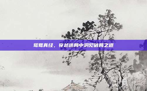 鸳鸯真经,穿越迷局中洞见破局之道