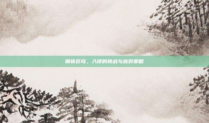 钢铁苍穹,入侵的挑战与应对策略