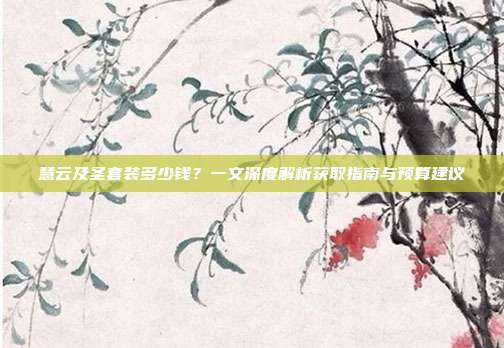 慧云及圣套装多少钱?一文深度解析获取指南与预算建议