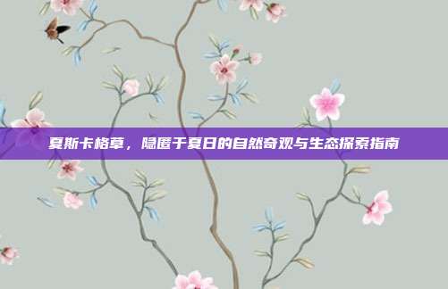 夏斯卡格草,隐匿于夏日的自然奇观与生态探索指南
