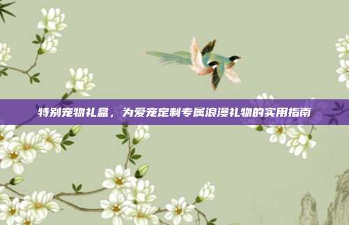 特别宠物礼盒,为爱宠定制专属浪漫礼物的实用指南