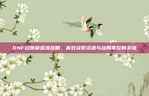 DNF召唤献祭流攻略,高效获取资源与战局掌控的关键