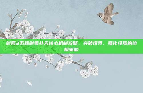 剑网3五版剑毒补天核心机制攻略,突破境界、强化经脉的终极策略