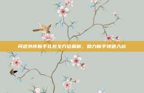 问道外传新手礼包全方位解析，助力新手快速入坑