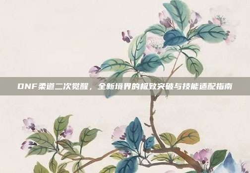 DNF柔道二次觉醒，全新境界的极致突破与技能适配指南