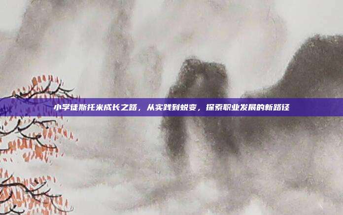 小学徒斯托米成长之路,从实践到蜕变,探索职业发展的新路径