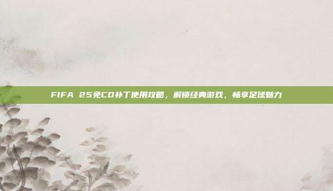 FIFA 25免CD补丁使用攻略,解锁经典游戏,畅享足球魅力