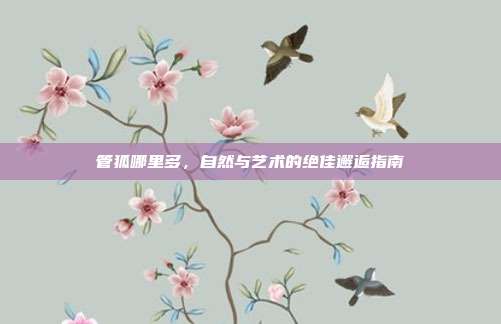 管狐哪里多，自然与艺术的绝佳邂逅指南