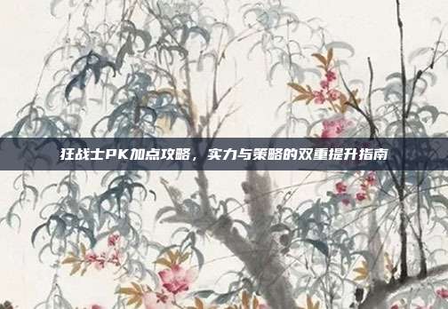 狂战士PK加点攻略,实力与策略的双重提升指南