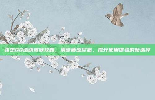 张杰QQ透明皮肤攻略,清晰质感尽显,提升使用体验的新选择