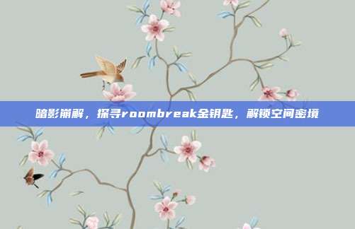 暗影崩解，探寻roombreak金钥匙，解锁空间密境