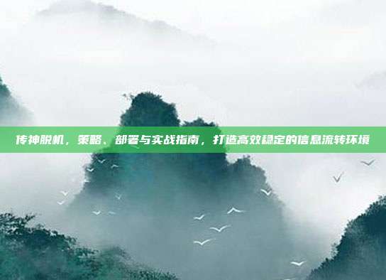 传神脱机，策略、部署与实战指南，打造高效稳定的信息流转环境