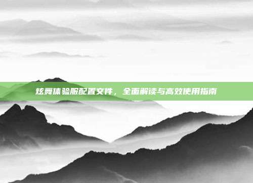 炫舞体验服配置文件，全面解读与高效使用指南