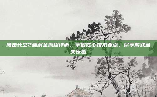 鹰击长空2破解全流程详解,掌握核心技术要点,尽享游戏通关乐趣
