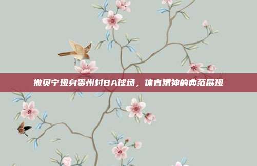 撒贝宁现身贵州村BA球场,体育精神的典范展现