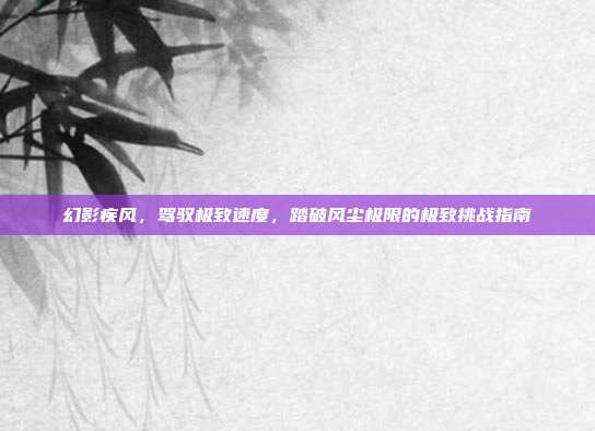 幻影疾风，驾驭极致速度，踏破风尘极限的极致挑战指南