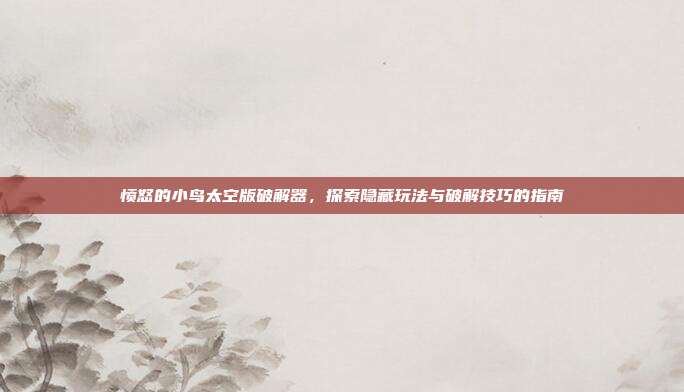 愤怒的小鸟太空版破解器，探索隐藏玩法与破解技巧的指南