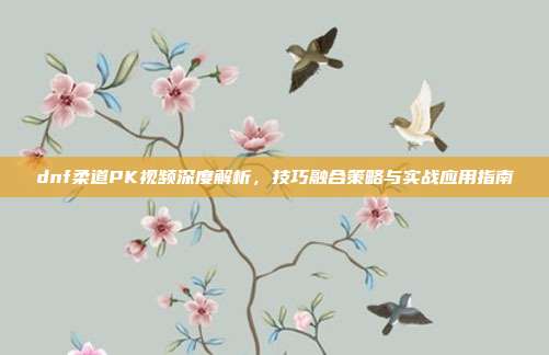 dnf柔道PK视频深度解析，技巧融合策略与实战应用指南