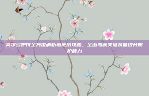 高尔多护符全方位解析与使用攻略，全面驾驭关键装备提升防护能力