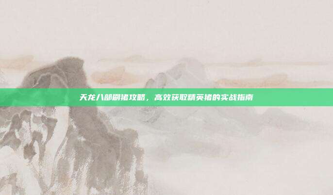 天龙八部刷猪攻略,高效获取精英猪的实战指南