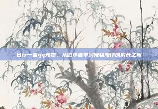 日行一善qq宠物，从微小善举到宠物陪伴的成长之旅