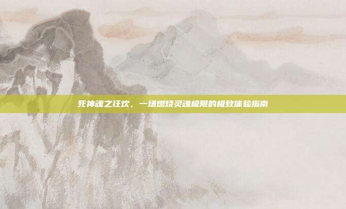 死神魂之狂欢,一场燃烧灵魂极限的极致体验指南