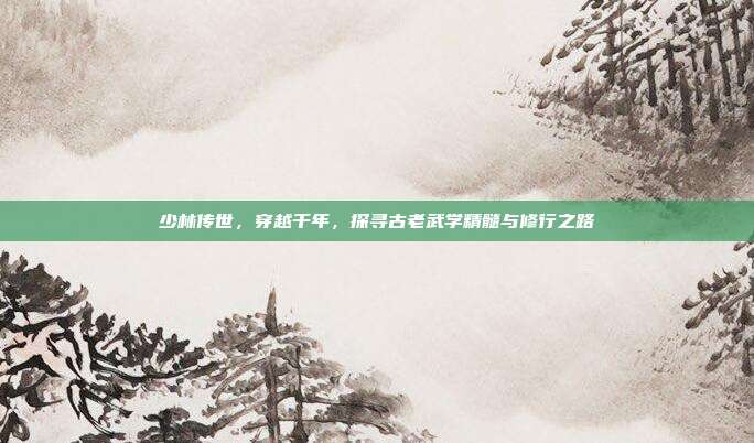 少林传世,穿越千年,探寻古老武学精髓与修行之路