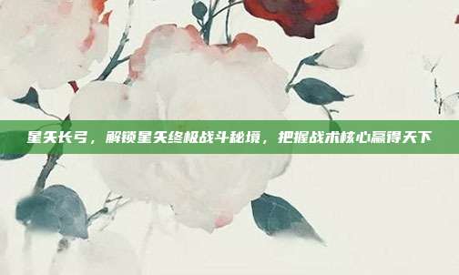 星矢长弓,解锁星矢终极战斗秘境,把握战术核心赢得天下