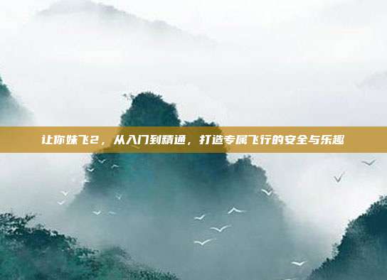 让你妹飞2,从入门到精通,打造专属飞行的安全与乐趣