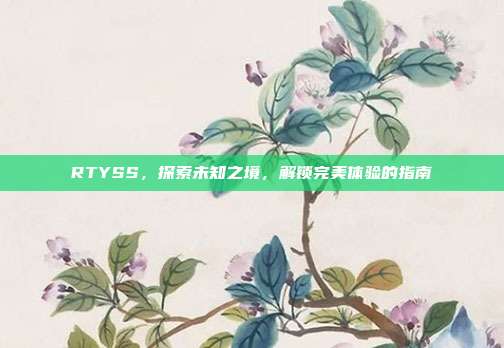 RTYSS,探索未知之境,解锁完美体验的指南