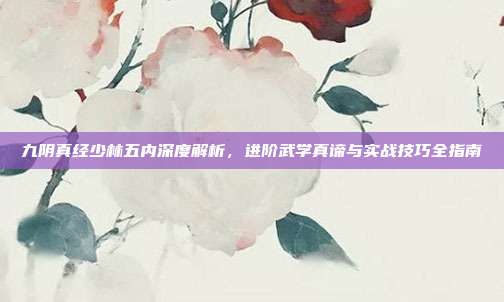 九阴真经少林五内深度解析，进阶武学真谛与实战技巧全指南